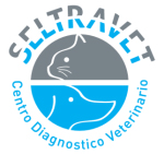 Centro Diagnostico Veterinario – Seltravet Prenotazioni